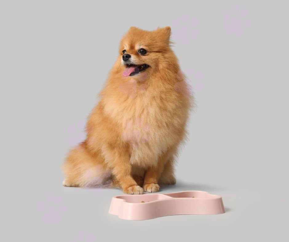 The Power of Pumpkin Powder