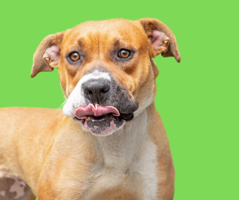 What is Crude and Why Does it Matter