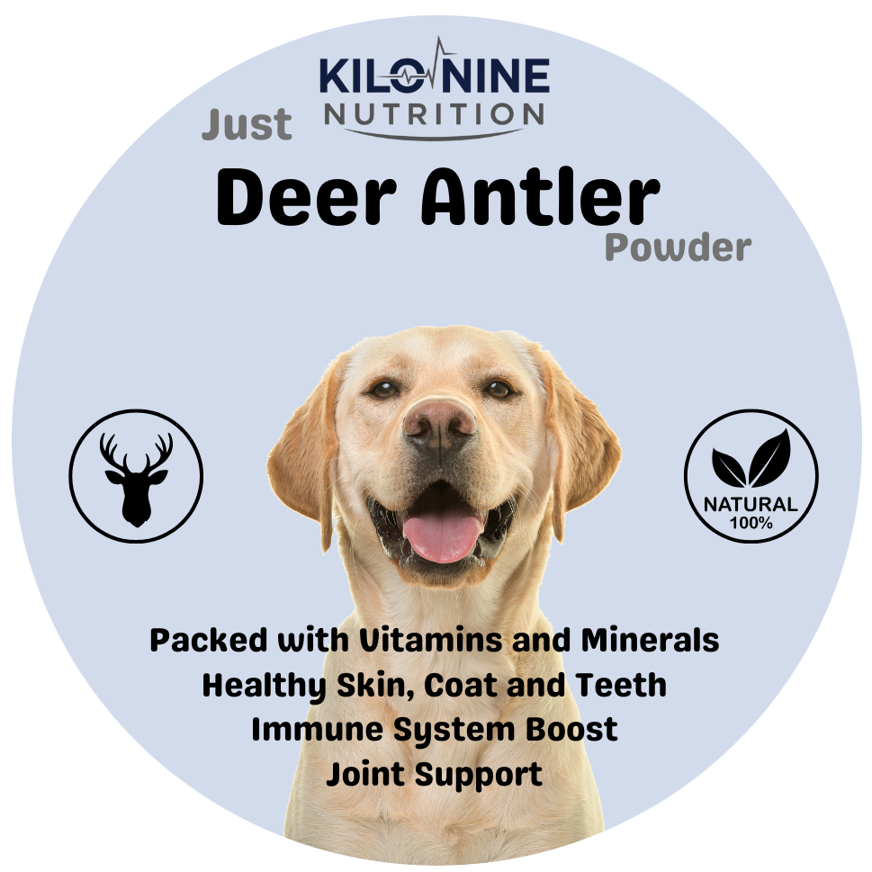 Antler Powder 100g