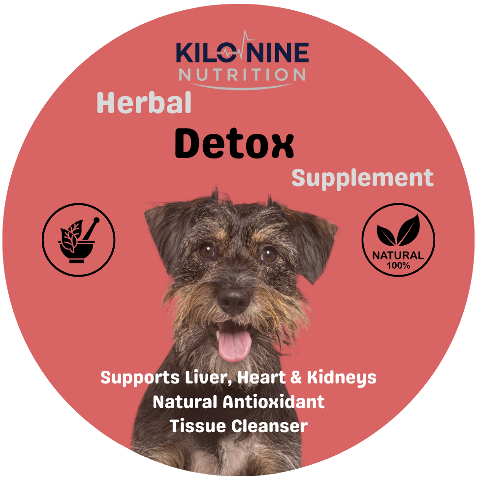 Detox Herbal Supplement 60g