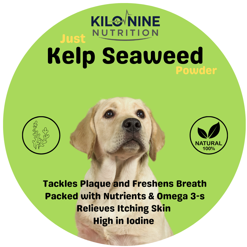 kelp sewed for dogs by kilo nine nutrition.