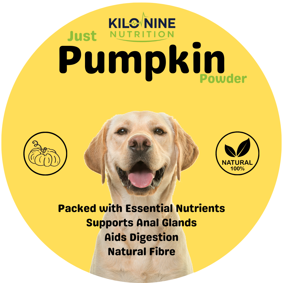 Pumpkin Powder 60g