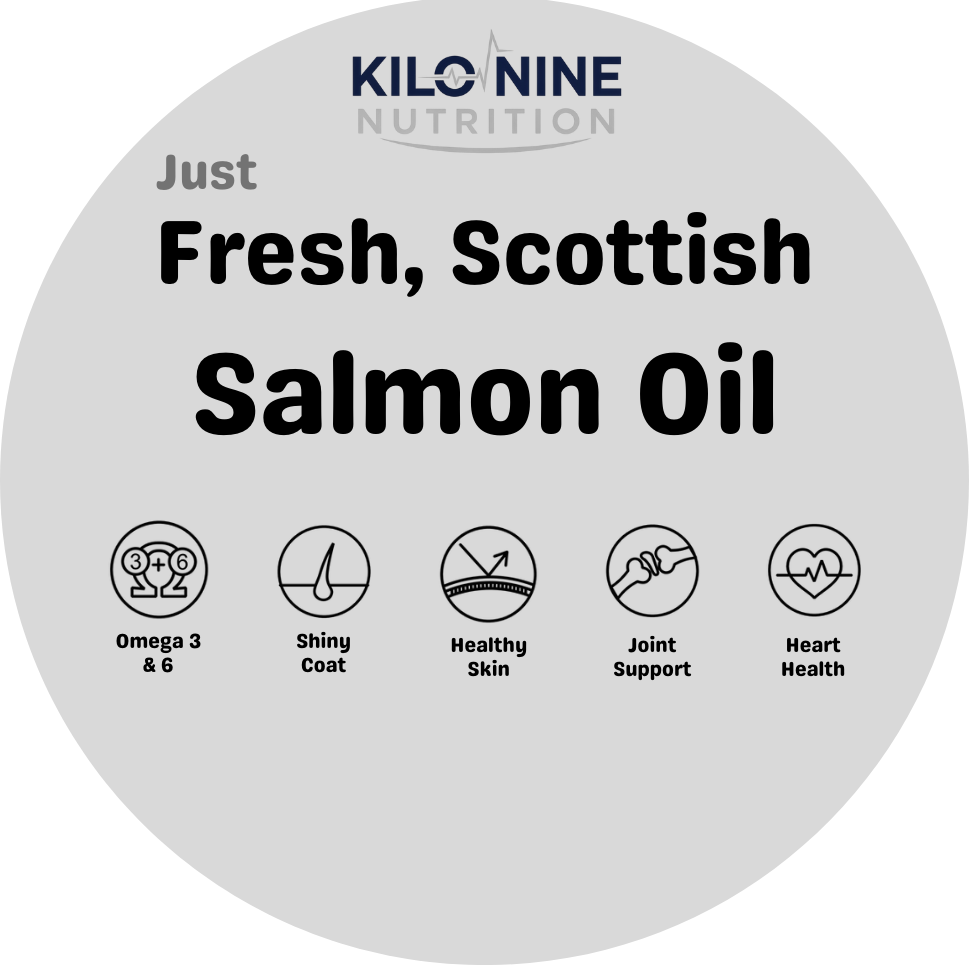 Scottish Salmon Oil 250ml