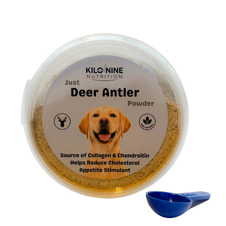 Antler Powder 100g