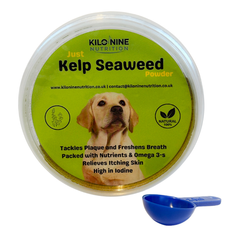 Kelp Seaweed Powder 60g