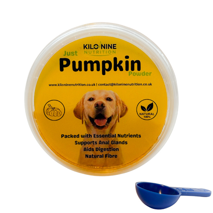 Pumpkin Powder 60g