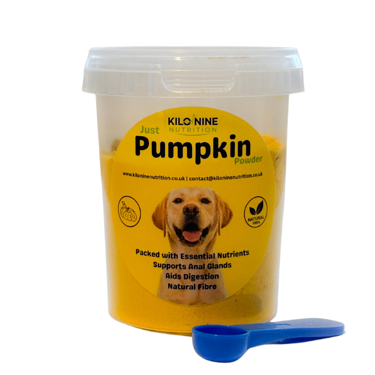 Pumpkin Powder 200g