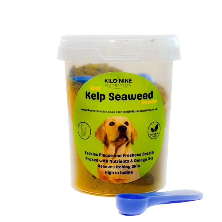 Kelp Seaweed Powder 200g